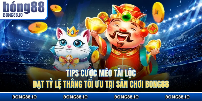 Tips cược Mèo tài lộc đạt tỷ lệ thắng tối ưu tại sân chơi BONG88
